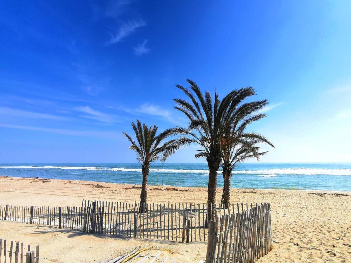 Appartement Soleil Levant - Acces Direct Plage - Terrasse - Une Chambre - Proche Commerces 乐巴凯尔斯 外观 照片